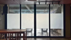 UMI Glass - Sliding Door